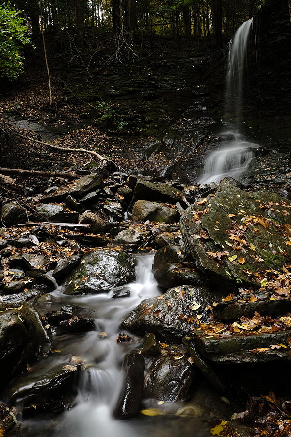 BUCKTAIL FALLS by Jeffrey PERKINS BUCKTAIL FALLS by Jeffrey PERKINS