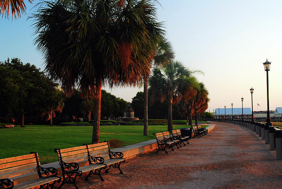 Bucolic Waterfront Park In Charleston Photograph
