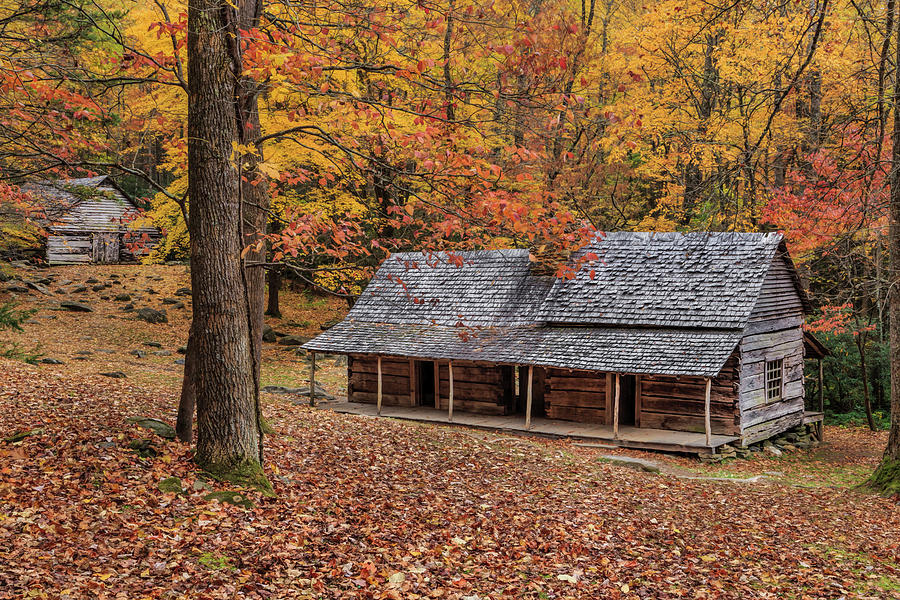 Fall Photograph - Bud Ogle Place With Barn Comp 2 by Galloimages Online