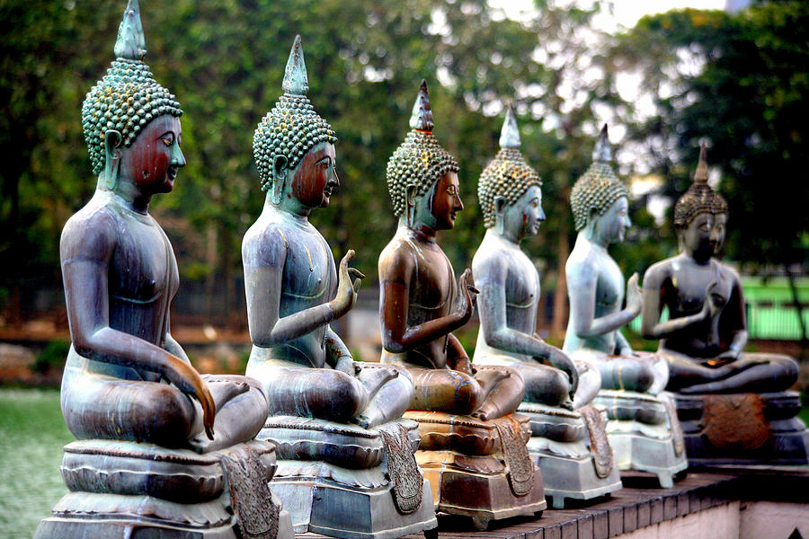Buddah Statues, Gangaramaya Temple Photograph by Sam W Stearman