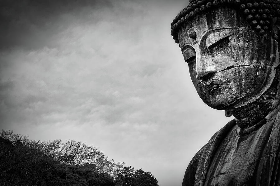 Buddha 12 Photograph by Bill Chizek