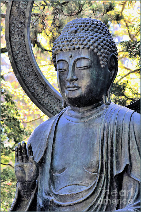 Buddha Of The Garden Photograph