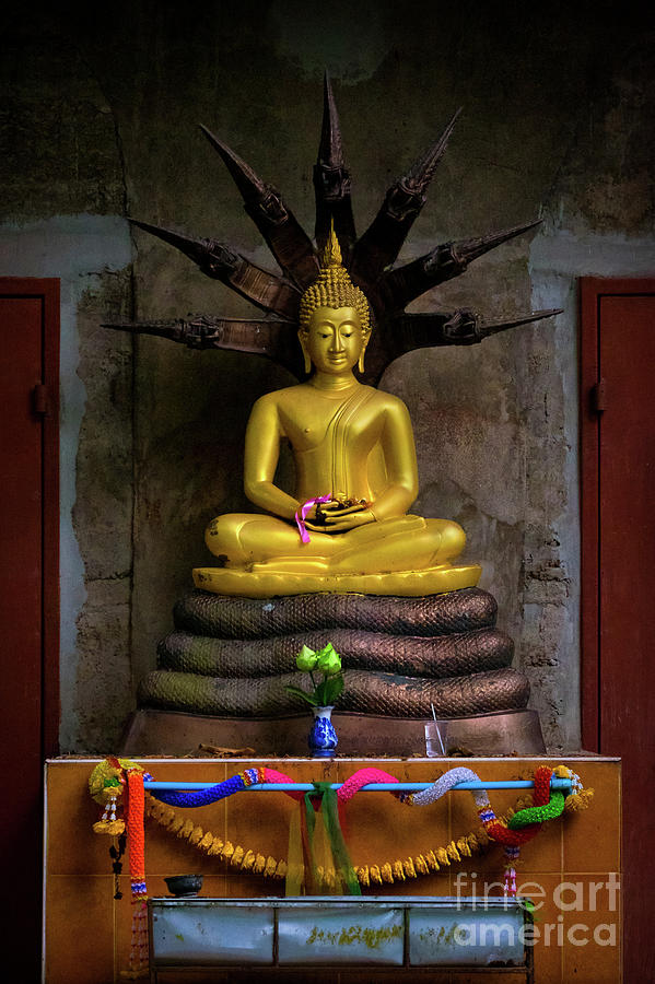 Buddha on a Rural Road by Lee Craker Buddha on a Rural Road by Lee Craker