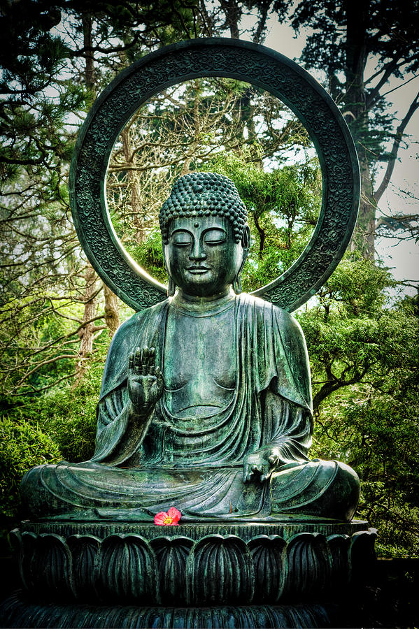 Buddha Statue With Pink Flower In Lap Photograph by Bob Cornelis