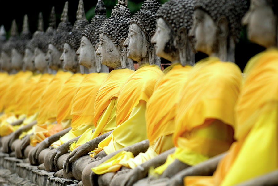 Buddha Statues, Ayuthaya, Thailand Photograph by Rod Porteous / Robertharding Buddha Statues, Ayuthaya, Thailand Photograph by Rod Porteous / Robertharding