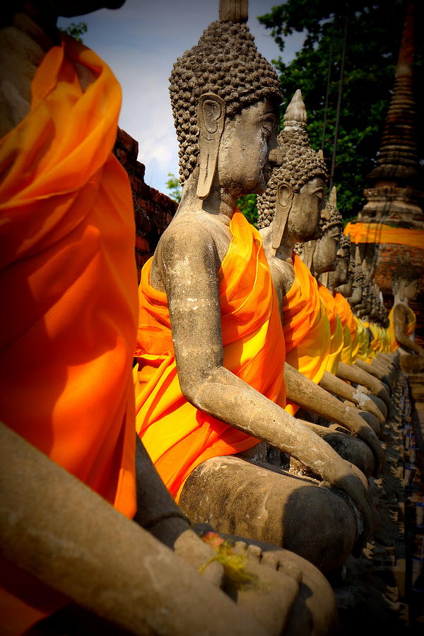 Buddha Statues Photograph by Nigel Killeen