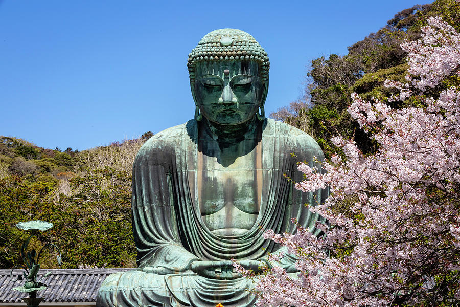 Buddha Photograph