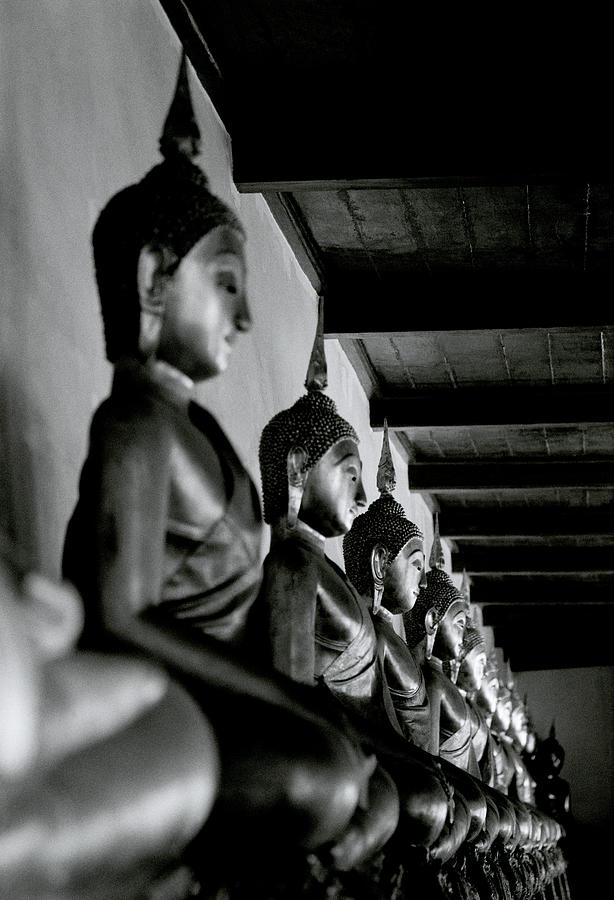 Buddhas Of Wat Mahathat  Photograph by Shaun Higson