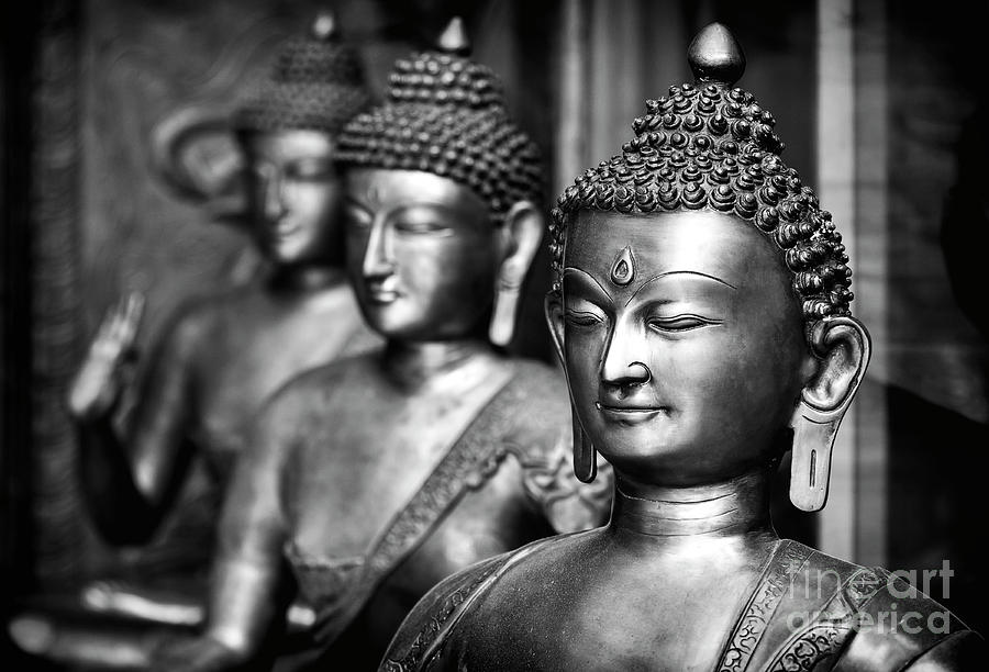 Buddhas Photograph by Tim Gainey