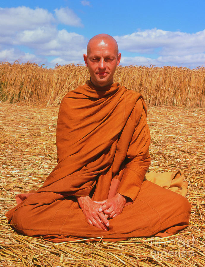 Buddhist Monk Meditating In A Crop Circle Photograph by David Parker/science Photo Library