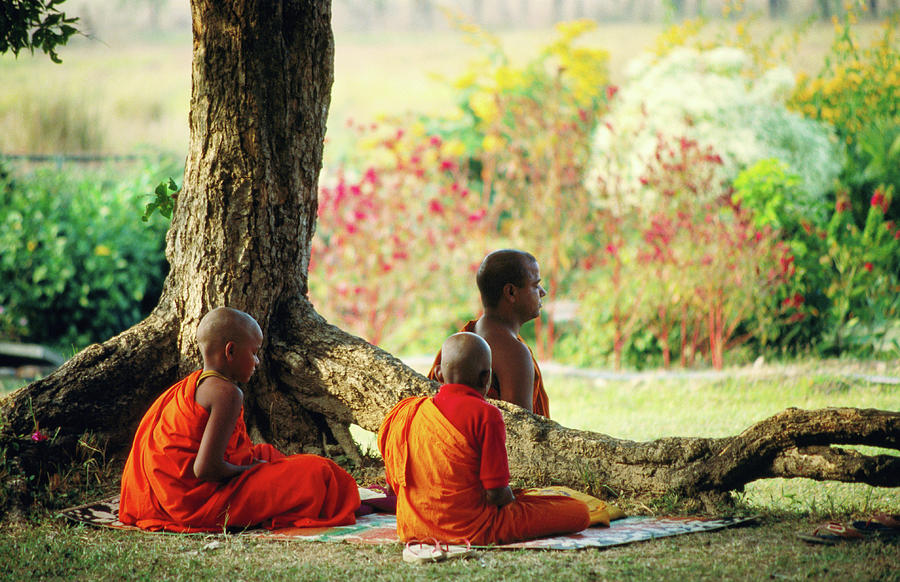 Buddhist Monks At Meditation Under Tree Photograph By Lindsay Brown