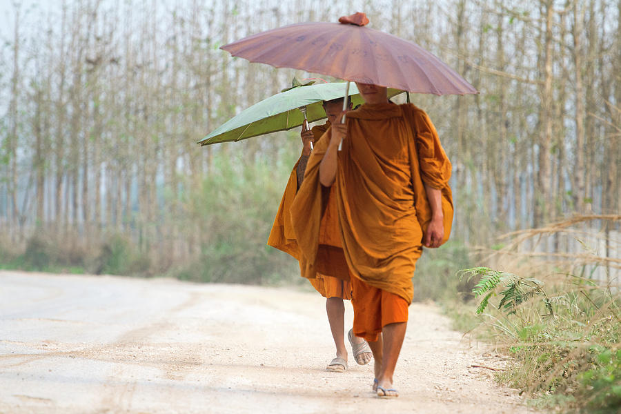 Buddhist Monks Chiang Sean Photograph by Jean-claude Soboul