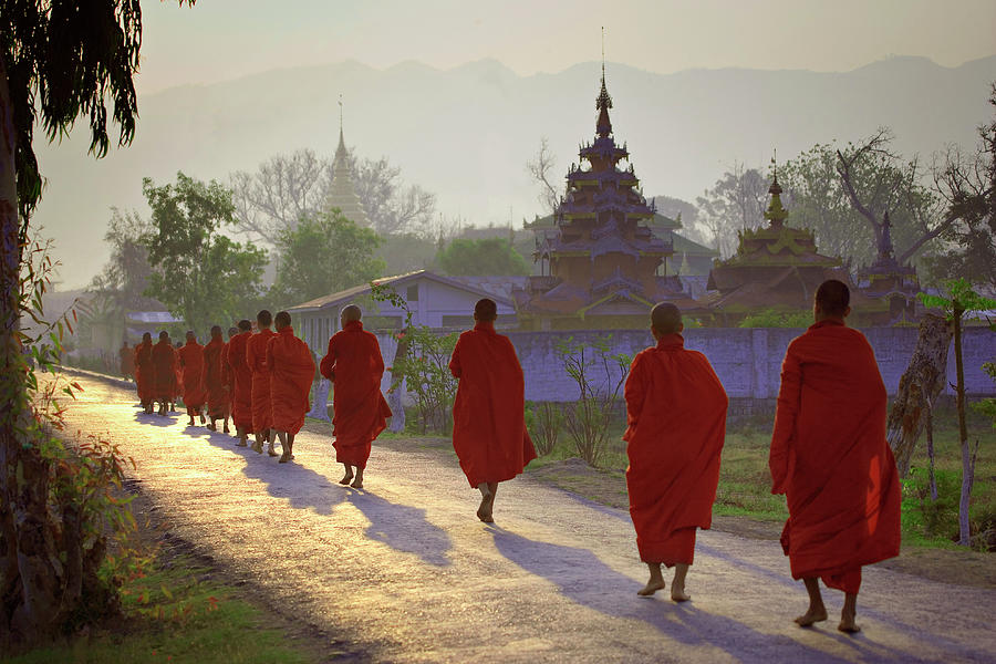 Buddhist Monks Walking Down Road, Rear Photograph by Daryl Benson