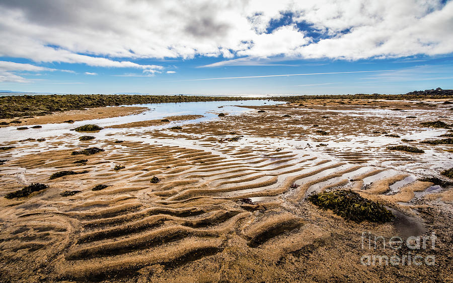 Budir beach, Iceland Photograph by Lyl Dil Creations