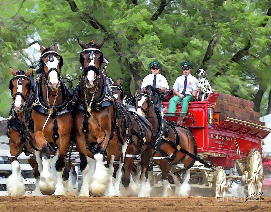 Budweiser Clydesdales Hitch Digital Art by CAC Graphics