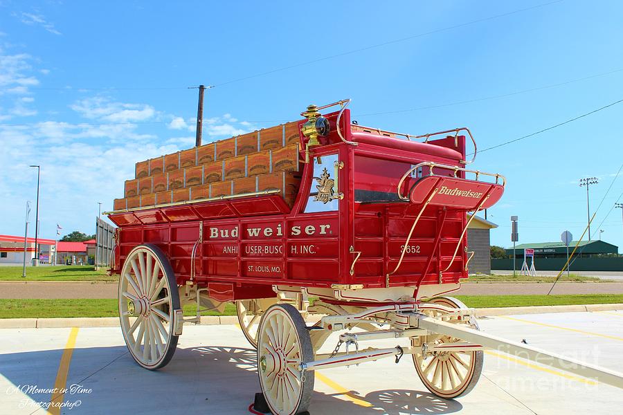 Budweiser Wagon Photograph by Shelby Van Arkel