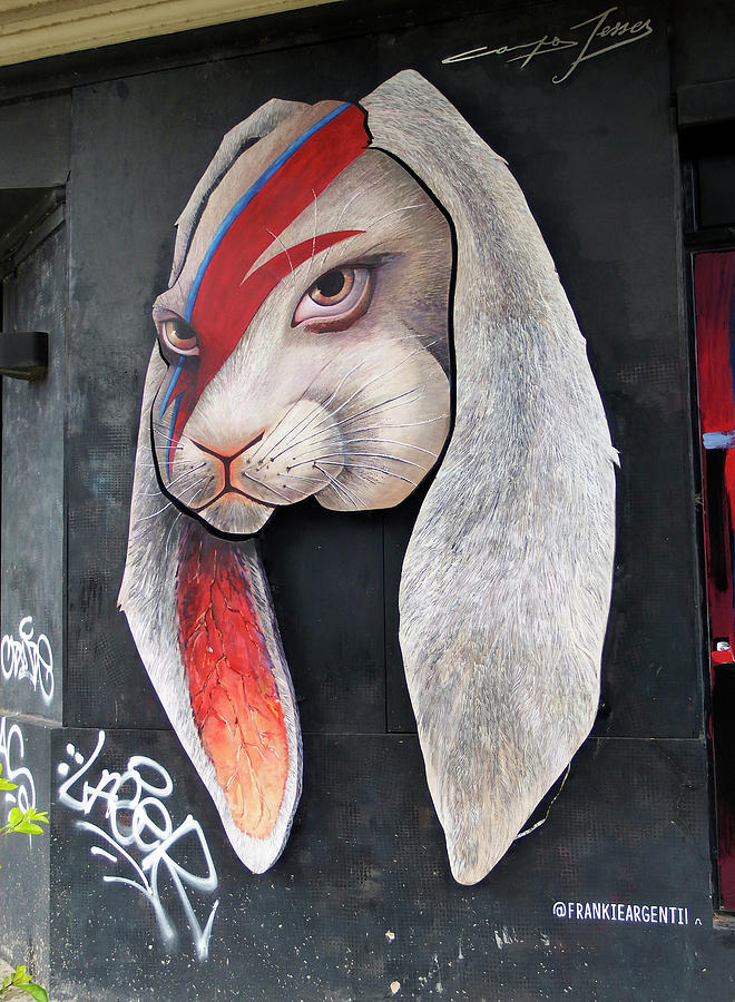 Buenos Aires Street Art 23 Photograph by Kurt Van Wagner