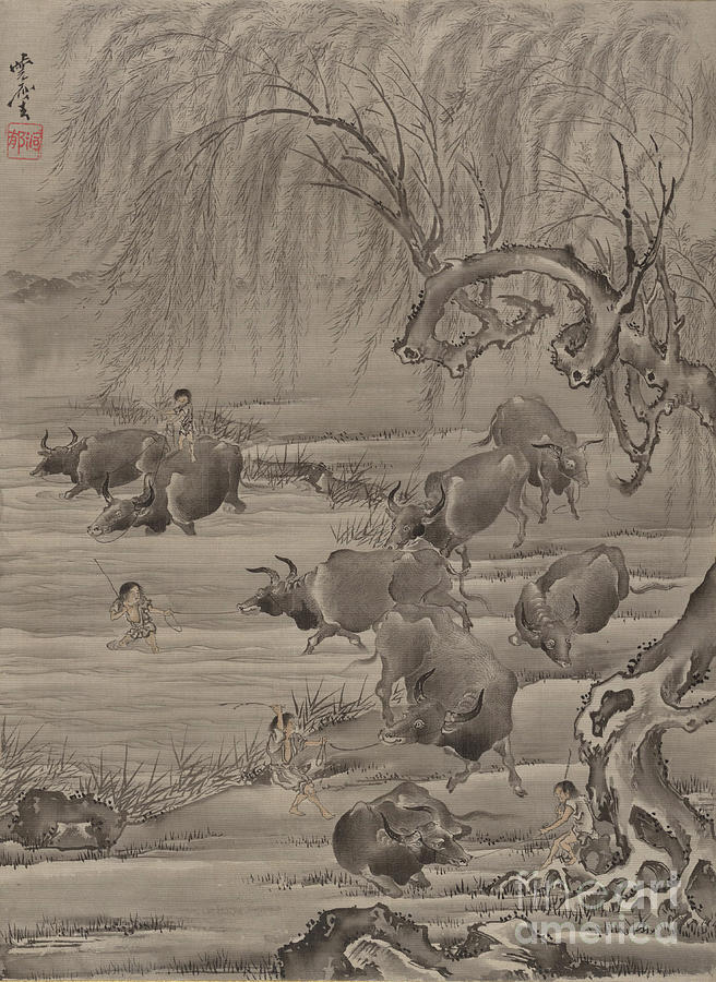 Buffalo And Herdsman Drawing by Heritage Images