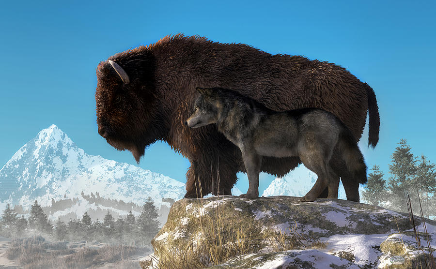 Buffalo Digital Art - Buffalo and Wolf by Daniel Eskridge