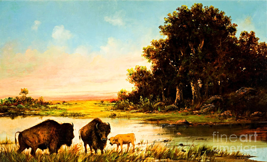 Buffalo Drinking at a River Painting by Peter Ogden