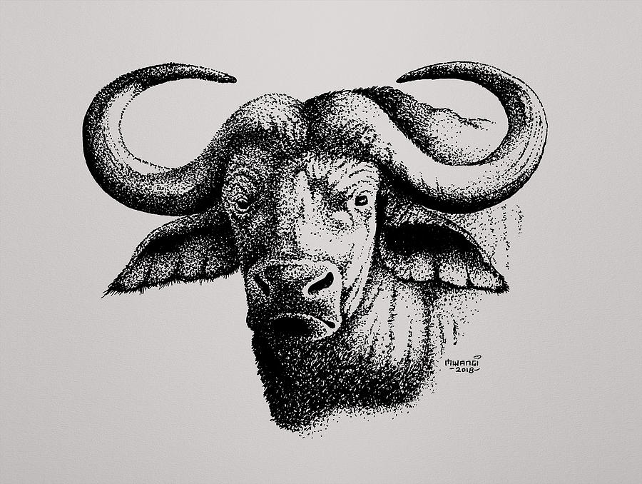Buffalo Head. 