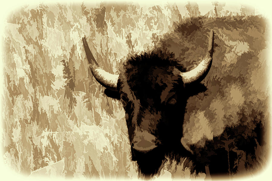 Buffalo portrait - paintography Photograph by Dan Friend