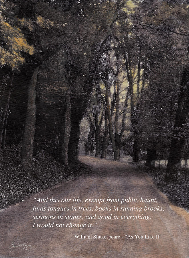 Buffalo Road Shakespeare Quote Poster Photograph by Wayne King