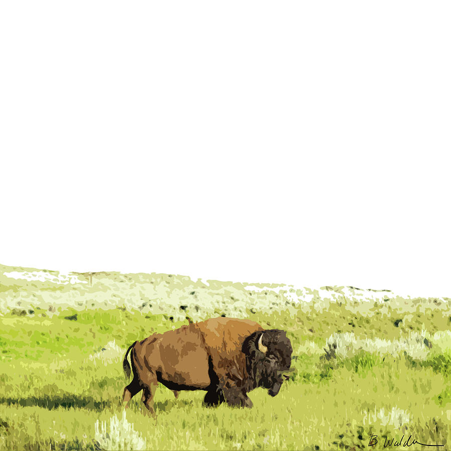 Buffalo Painting - Buffalo Roam by Boughton Walden