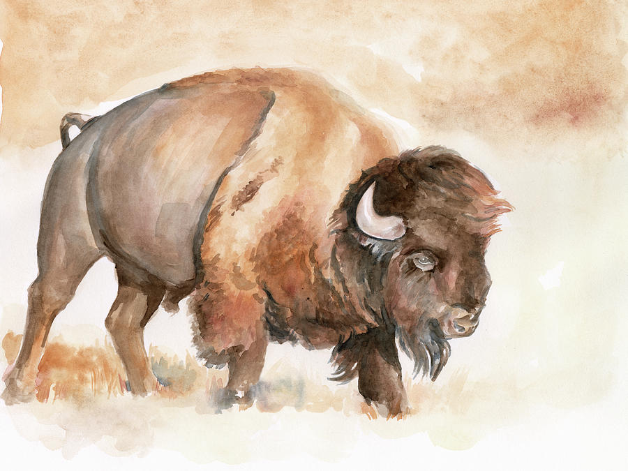 Buffalo Roam II Painting by Jennifer Paxton Parker