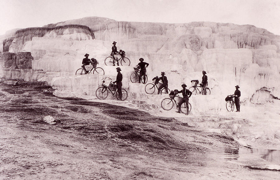 Buffalo Soldiers, Mammoth Hot Springs Photograph by Science Source