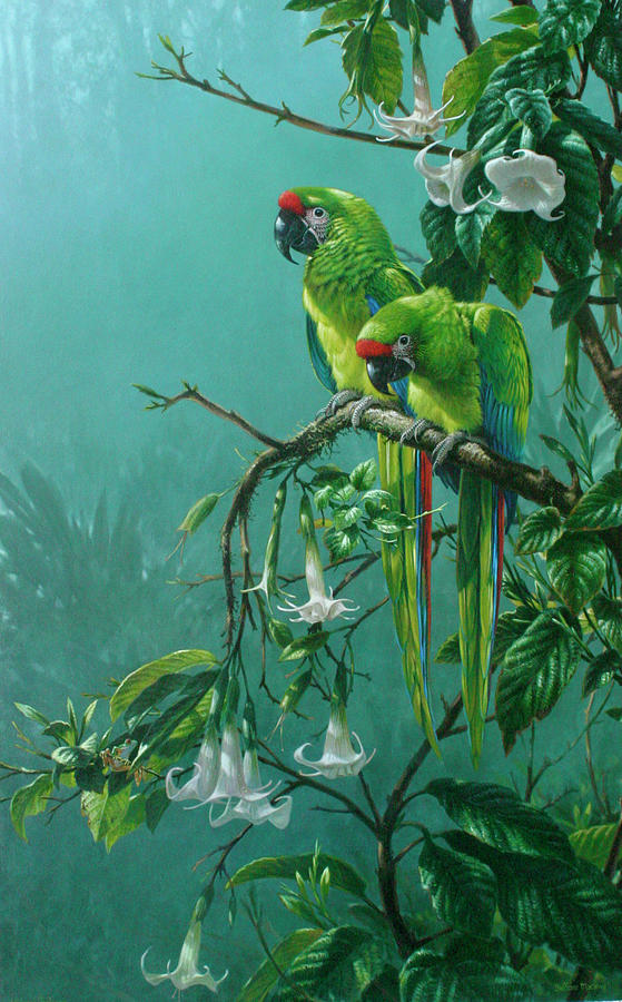Jungle Digital Art - Buffons Macaws by Michael Jackson