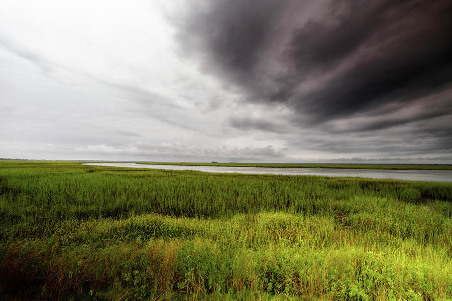 Nature Photograph - Buford South Carolina Salt Marsh by Cavan Images