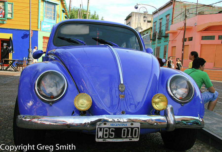 Bug in Buenos Aires Photograph by Greg Smith