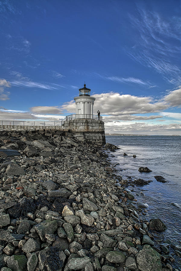 Bug Light Blue by Patrick Groleau Bug Light Blue by Patrick Groleau
