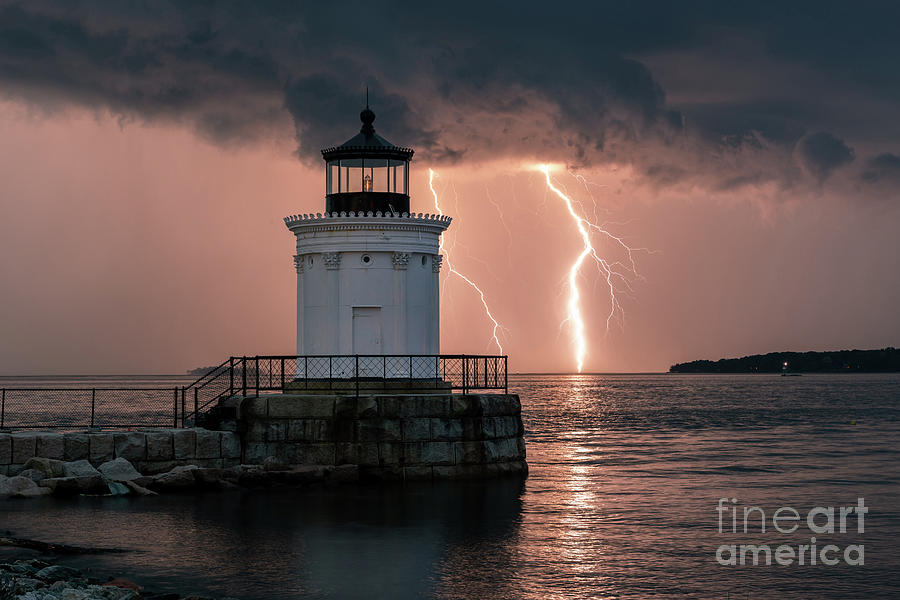 Bug Zapper Photograph by Jesse MacDonald - Fine Art America