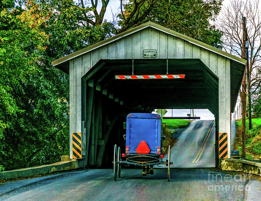 Buggy on the Bridge Photograph by Nick Zelinsky Jr