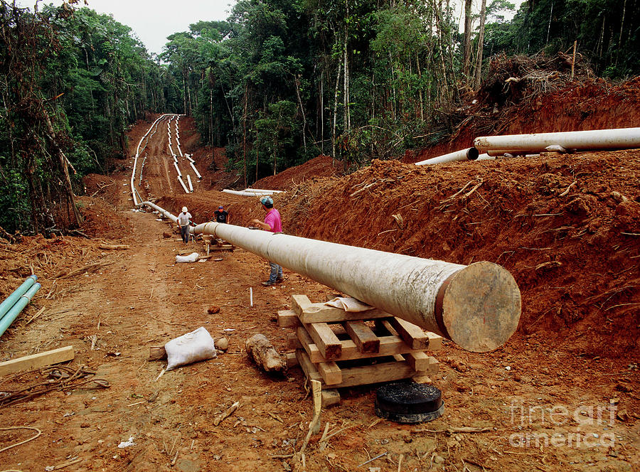 Building An Oil Pipeline In The Ecuadorian Amazon Photograph by Dr Morley Read/science Photo Library