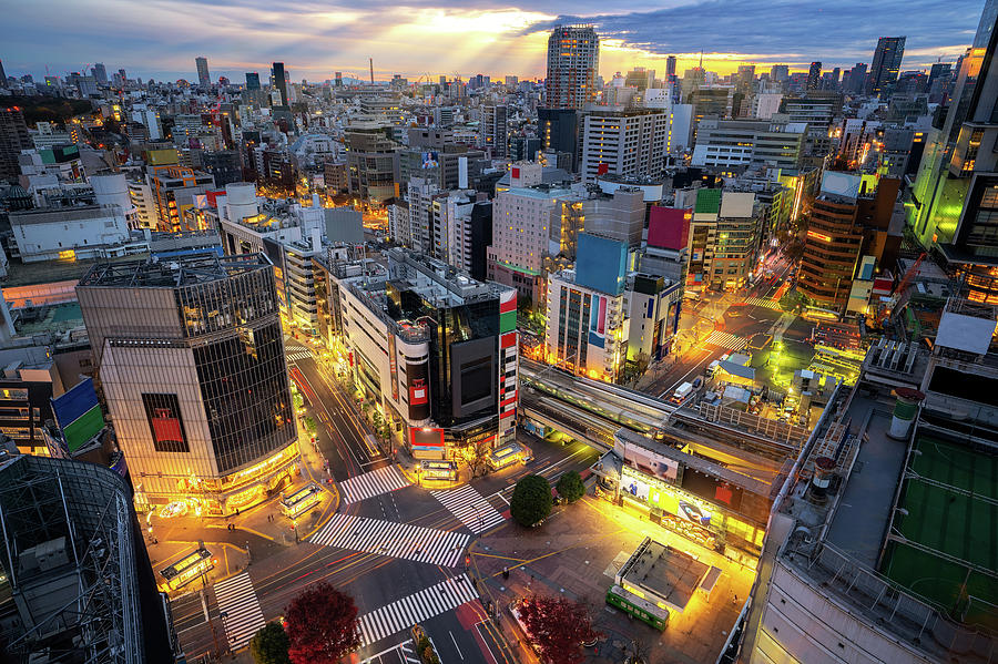 Building and Shibuya Crossing from top view  Photograph by Anek Suwannaphoom