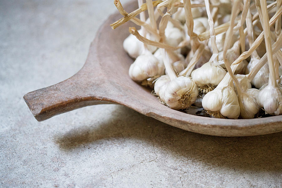 Bulbs Of Garlic In An Earthenware Bowl Photograph by Richard Boll