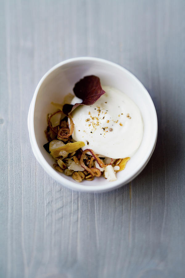 Bulgur And Cinnamon Flower Granola With Brie Espuma Photograph by Michael Wissing