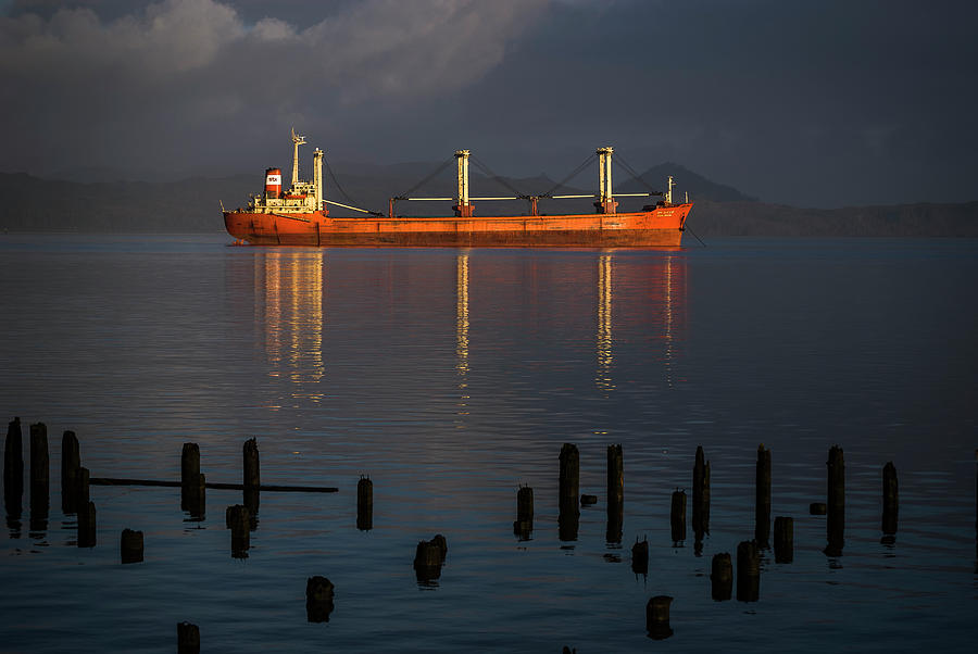 Bulk Carrier Ship Photograph by Robert Potts