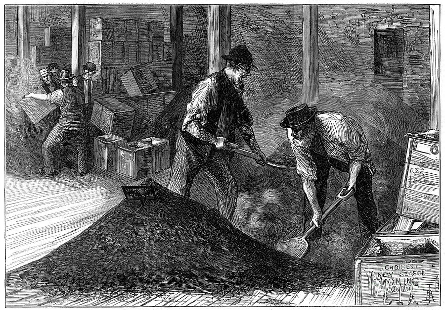 Bulking Tea At A Tea Warehouse, 1874 Drawing by Print Collector