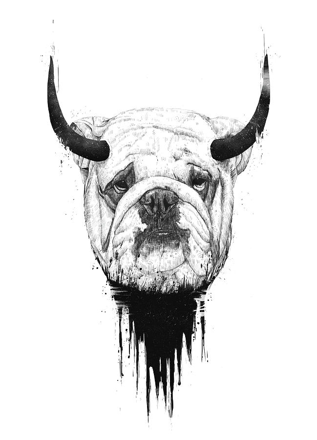 Animal Drawing - Bull dog by Balazs Solti