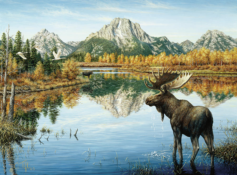 Bull Moose Painting by Jeff Tift
