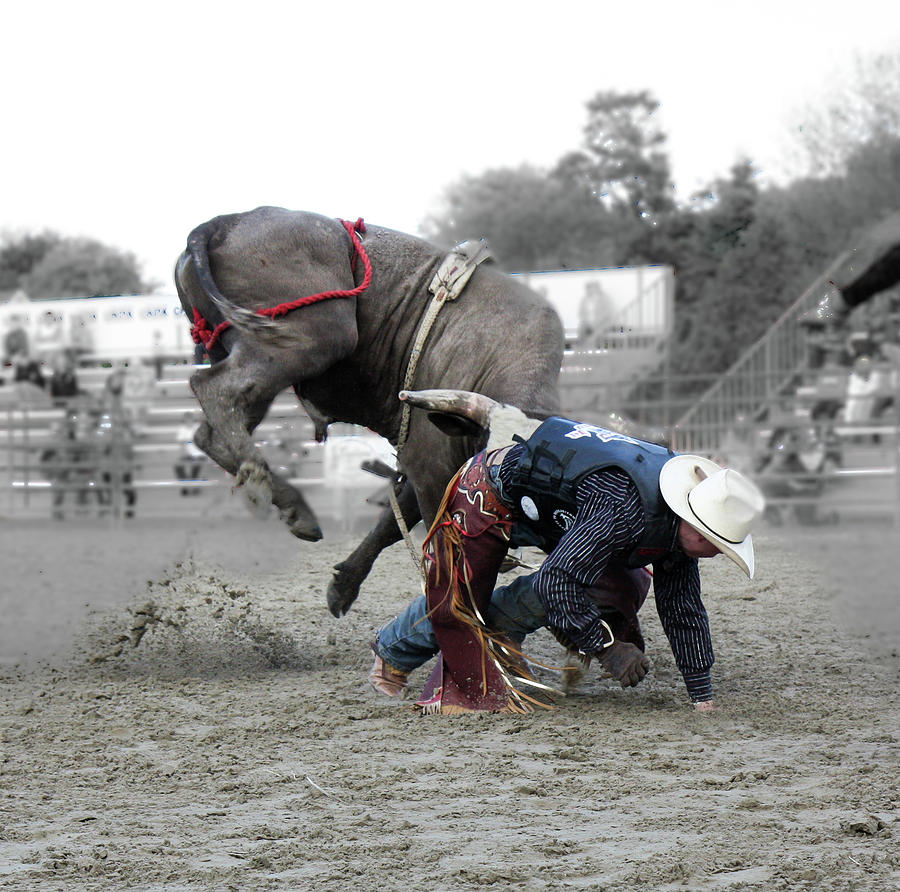 Bull Rider Photograph by Nick Mares