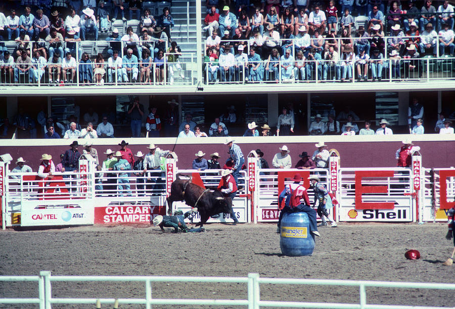 Bull riding Calgary Stampede Photograph by Winston Fraser Fine Art