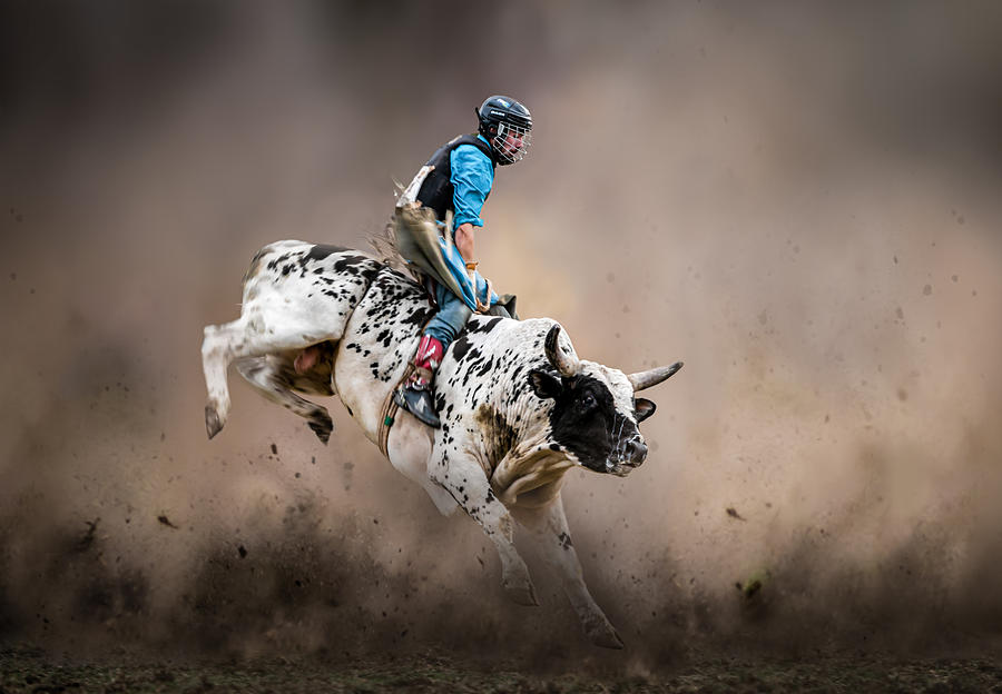 Bull Riding Photograph by Irene Yu Wu