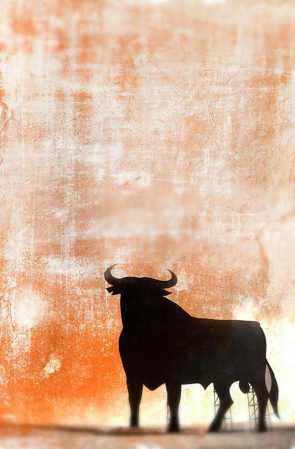 Bull Signage On Textured Background Photograph by Grant Faint Bull Signage On Textured Background Photograph by Grant Faint