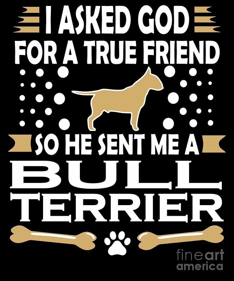 bull terrier lovers