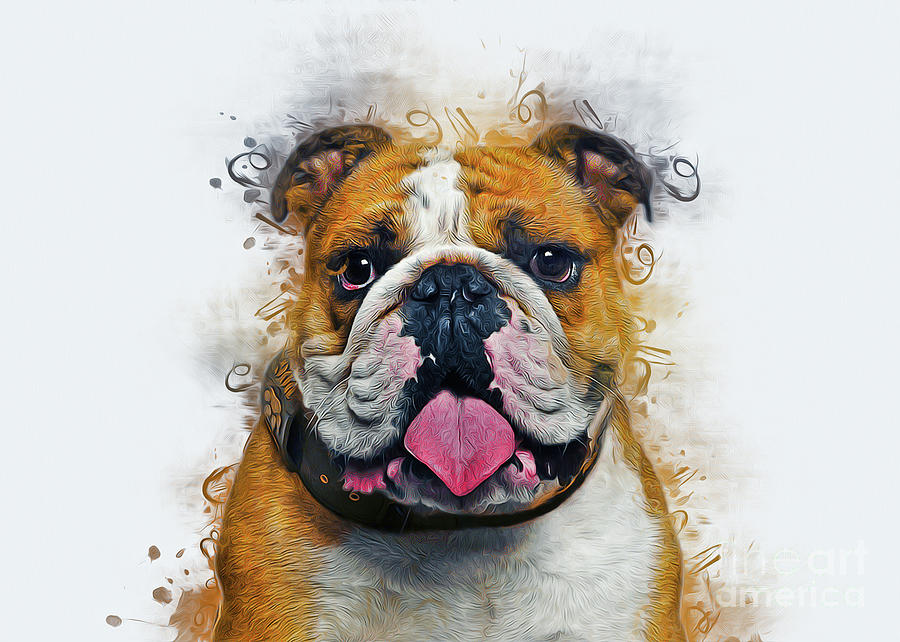 Bulldog Art Painting